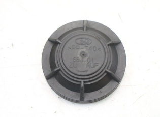 CACHE POUSSIERE PHARE