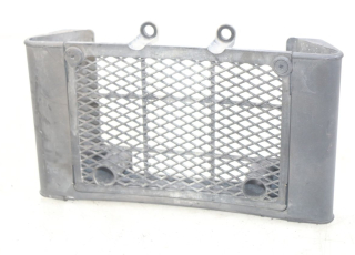 GRILLE RADIATEUR