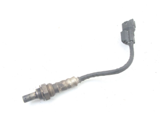 SONDE LAMBDA