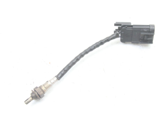 SONDE LAMBDA