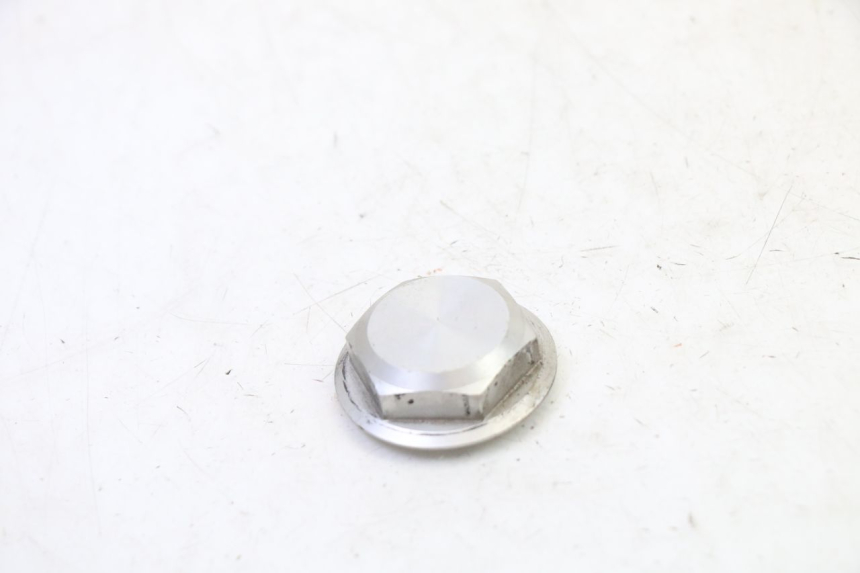 photo de DADO DELLA PIASTRA FORCELLA YAMAHA FJR ABS 1300 (2006 - 2012)