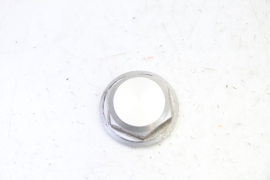 photo de DADO DELLA PIASTRA FORCELLA YAMAHA FJR ABS 1300 (2006 - 2012)