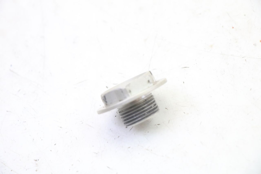 photo de DADO DELLA PIASTRA FORCELLA KTM SUPERENDURO R 950 (2005 - 2009)