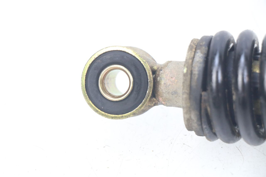 photo de Ammortizzatore posteriore TNT MOTOR BOSTON 4T 50 (2018 - 2025)
