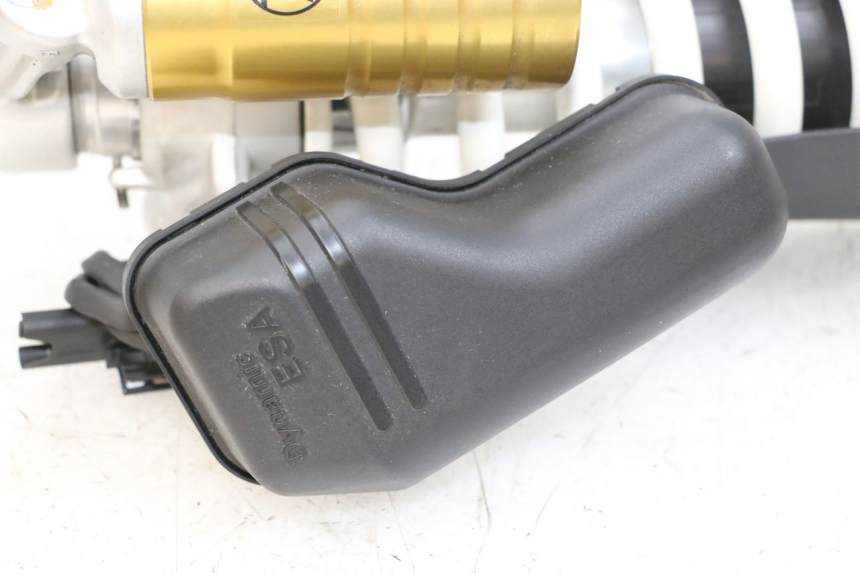 photo de AMMORTIZZATORE POSTERIORE BMW R GS 1250 (2021 - 2024) - Panoramica del profilo