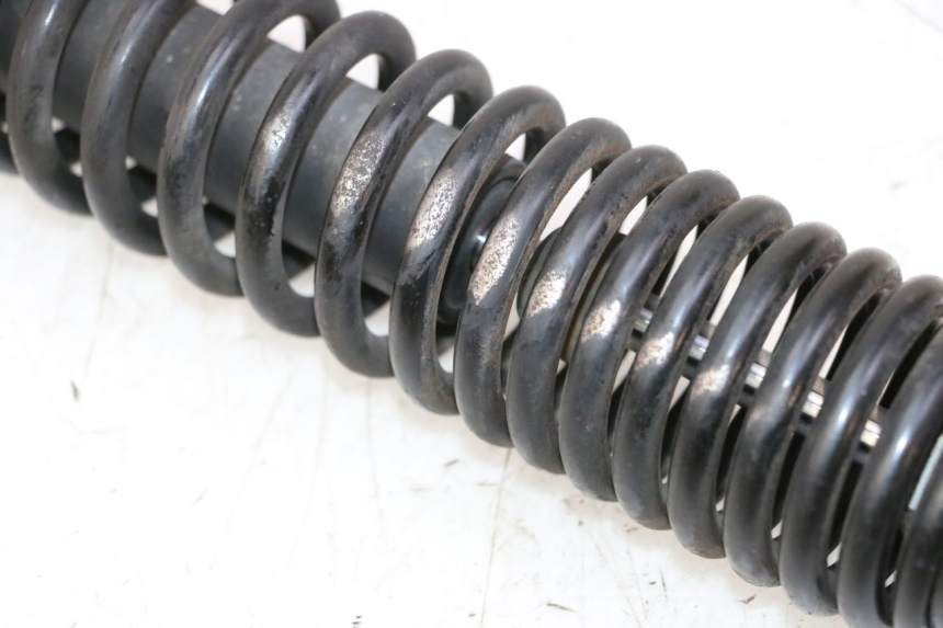 photo de AMMORTIZZATORE POSTERIORE PEUGEOT TWEET PRO CARGO 50 (2018 - 2020)