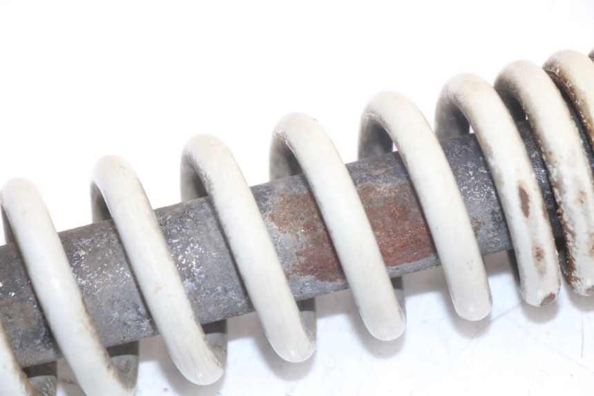 photo de Ammortizzatore posteriore PIAGGIO TYPHOON 50 (2000 - 2009) - Vista d'insieme del prodotto