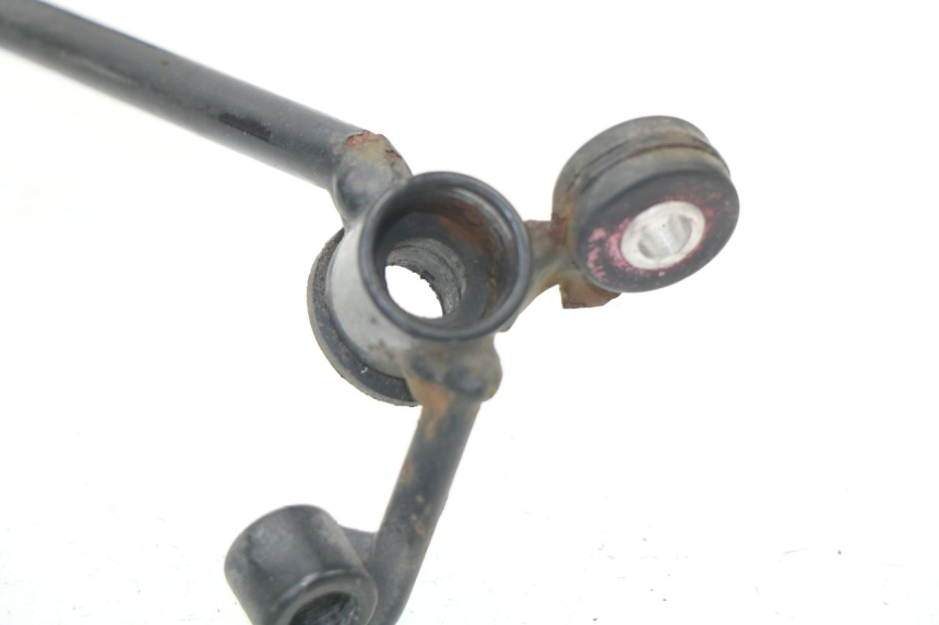 photo de RAGNO TESTA DI FORCELLA APRILIA RS AF-1 125 (1990 - 1993)