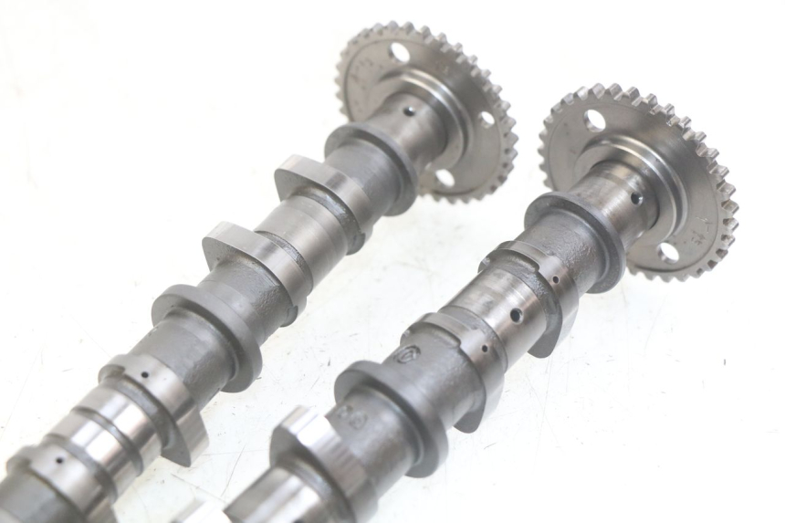 photo de ALBERO A CAMME SUZUKI BURGMAN 650 (2002 - 2004)