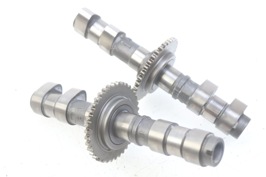 photo de ALBERO A CAMME HONDA CBF 500 (2004 - 2007)