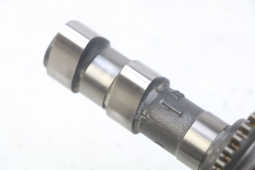 photo de ALBERO A CAMME HONDA CBF 500 (2004 - 2007)