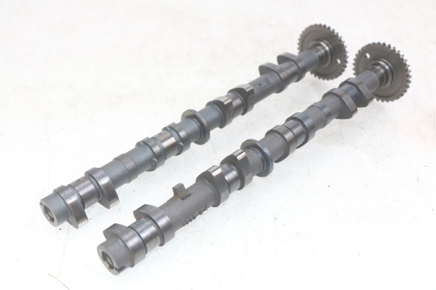 photo de ALBERO A CAMME KAWASAKI Z 750 (2007 - 2013)