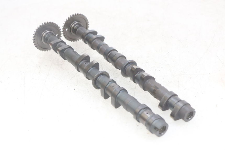 photo de ALBERO A CAMME KAWASAKI Z 750 (2007 - 2013)