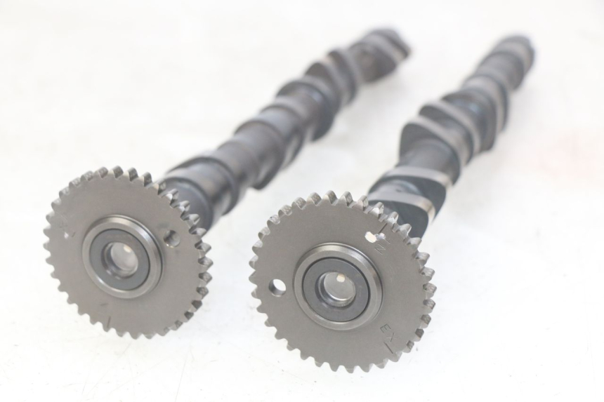 photo de ALBERO A CAMME KAWASAKI Z 750 (2007 - 2013)