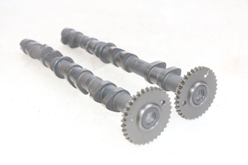 photo de ALBERO A CAMME KAWASAKI Z 750 (2007 - 2013)