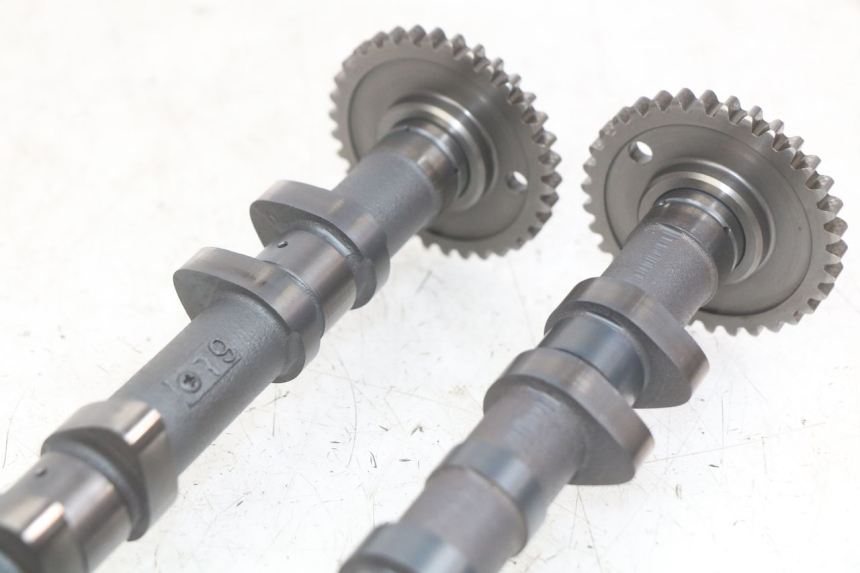 photo de ALBERO A CAMME KAWASAKI Z 750 (2007 - 2013)