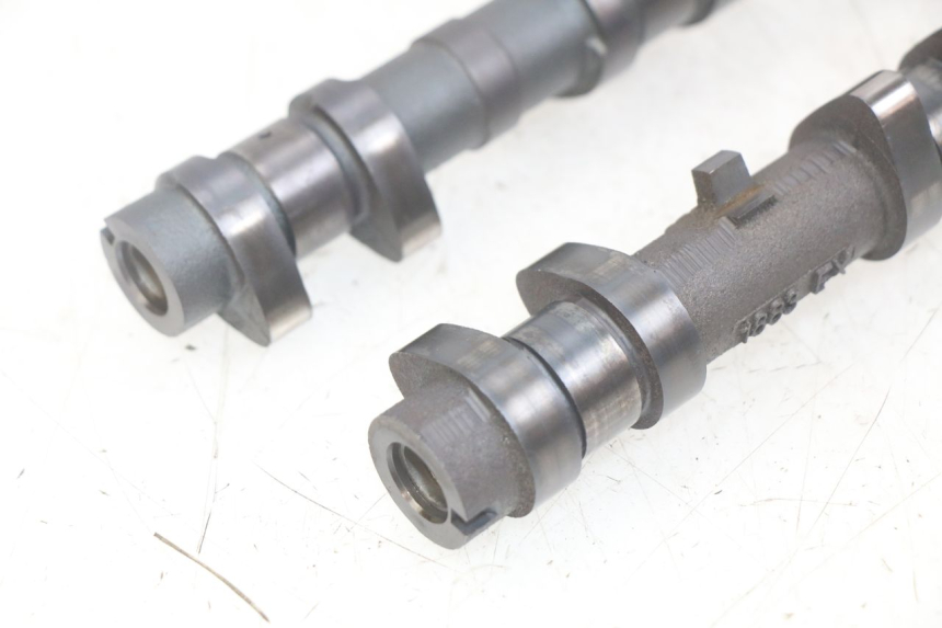 photo de ALBERO A CAMME KAWASAKI Z 750 (2007 - 2013)