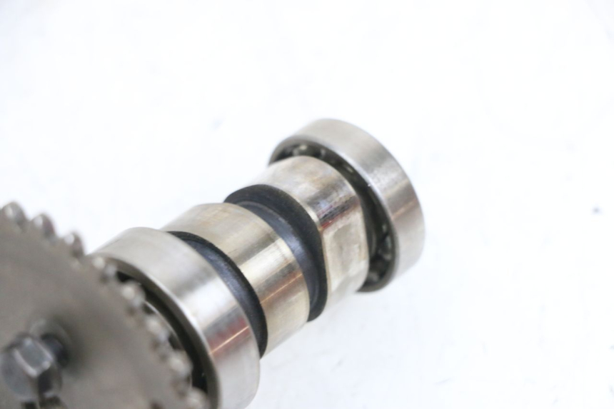 photo de ALBERO A CAMME PEUGEOT KISBEE 4T 50 (2010 - 2017) - Primo piano tecnico