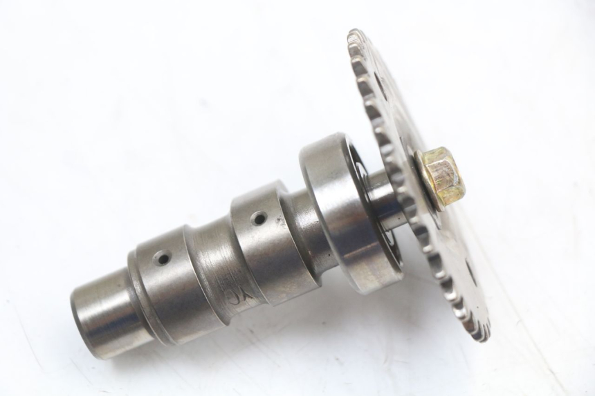 photo de ALBERO CAMME PIAGGIO FLY 4T 50 (2004 - 2010)