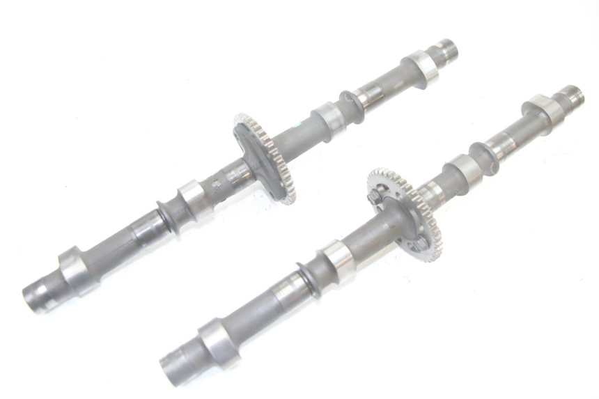 photo de ALBERO CAMME SUZUKI GSF S BANDIT 600 (2000 - 2004)
