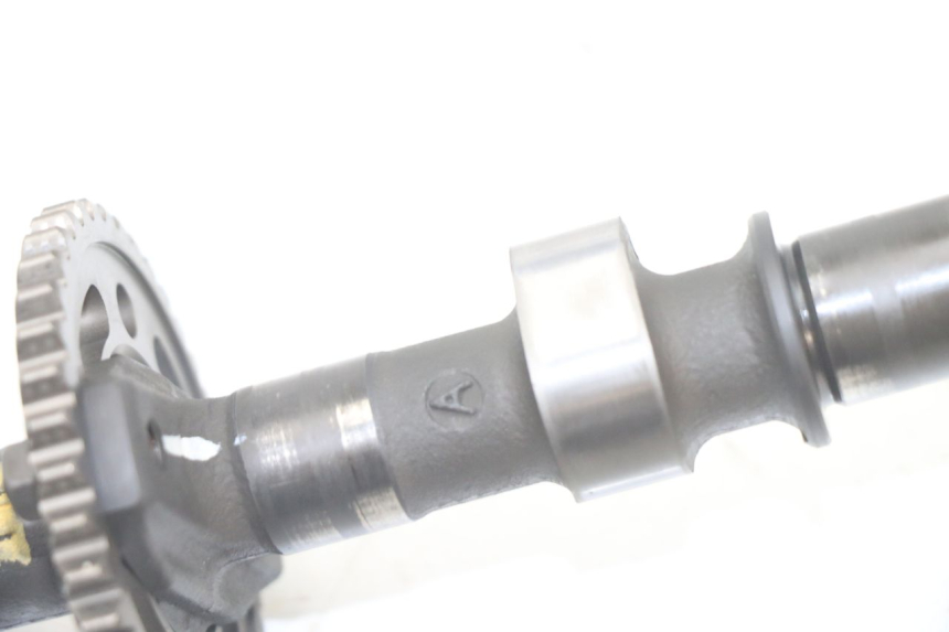 photo de ALBERO CAMME SUZUKI GSF S BANDIT 600 (2000 - 2004)