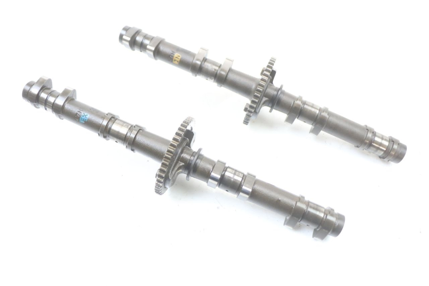 photo de ALBERO CAMME SUZUKI GSX F GSXF 650 (2007 - 2015)