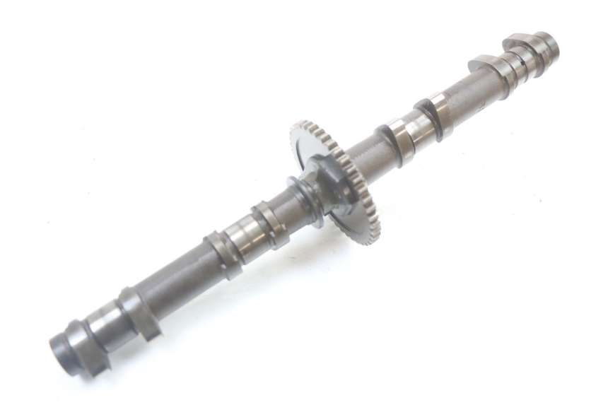 photo de ALBERO CAMME SUZUKI GSX F GSXF 650 (2007 - 2015)