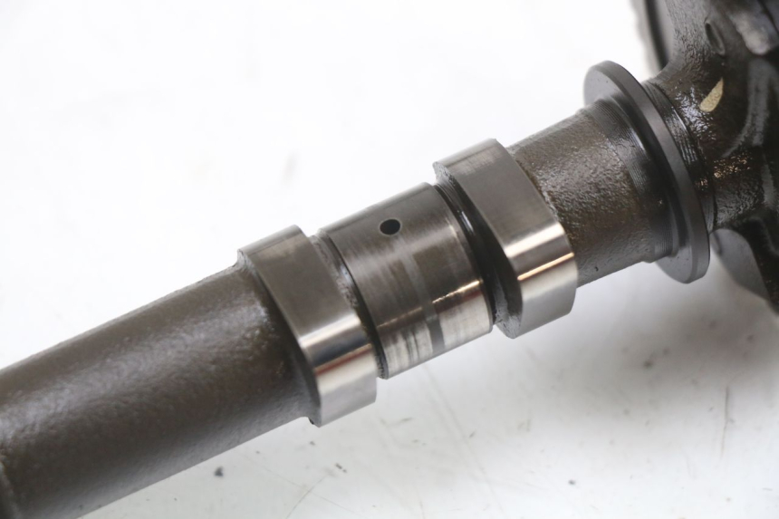 photo de ALBERO CAMME SUZUKI GSX F GSXF 650 (2007 - 2015)