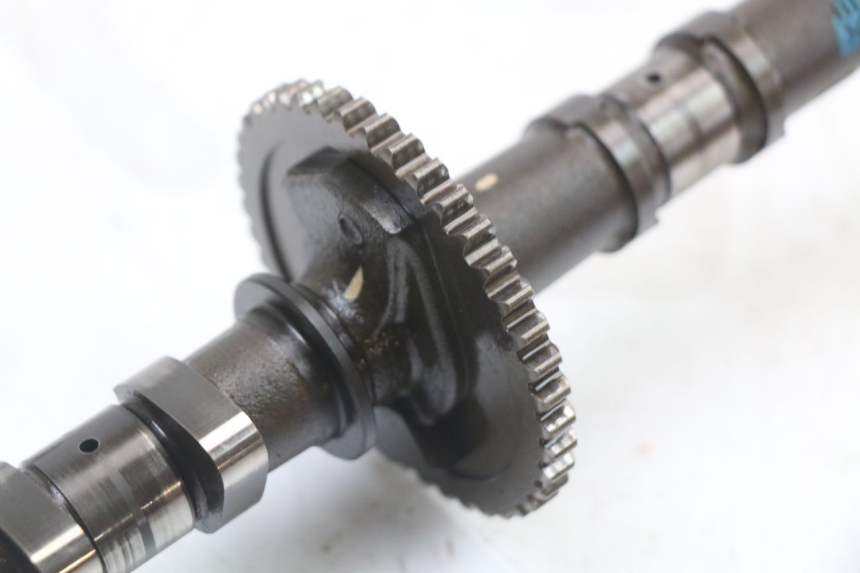photo de ALBERO CAMME SUZUKI GSX F GSXF 650 (2007 - 2015)