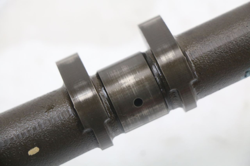 photo de ALBERO CAMME SUZUKI GSX F GSXF 650 (2007 - 2015)