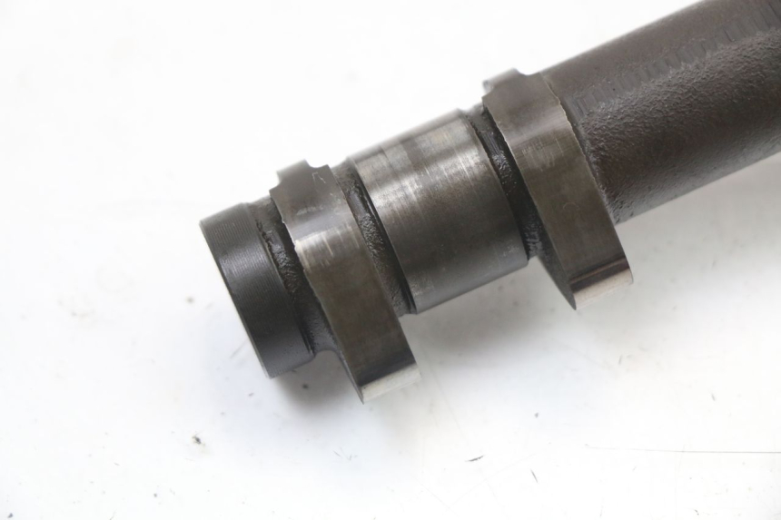 photo de ALBERO CAMME SUZUKI GSX F GSXF 650 (2007 - 2015)