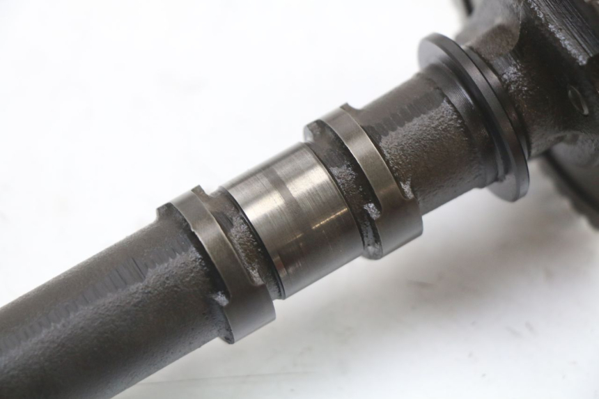 photo de ALBERO CAMME SUZUKI GSX F GSXF 650 (2007 - 2015)