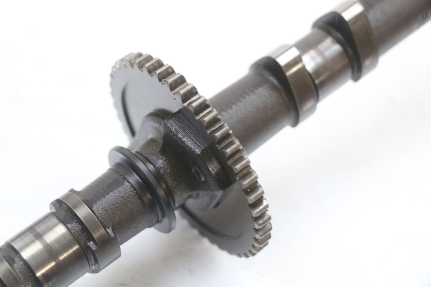 photo de ALBERO CAMME SUZUKI GSX F GSXF 650 (2007 - 2015)