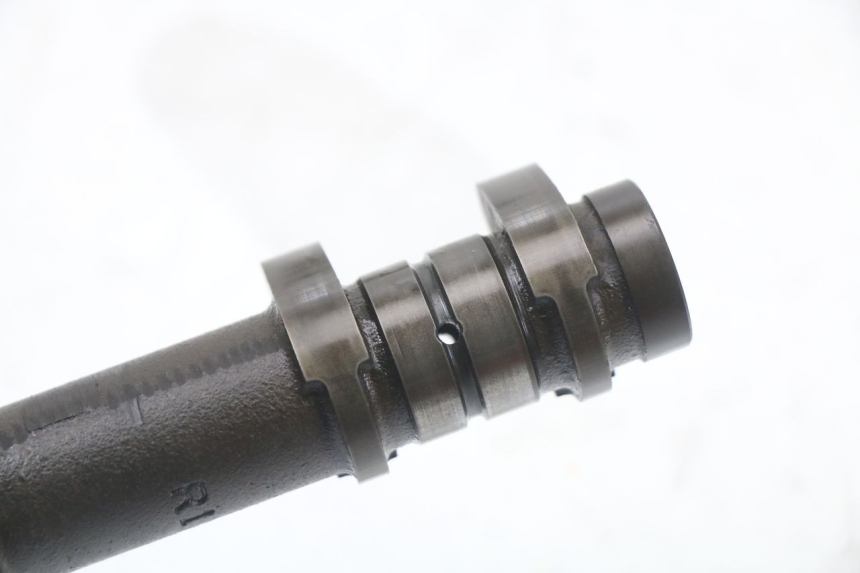 photo de ALBERO CAMME SUZUKI GSX F GSXF 650 (2007 - 2015)