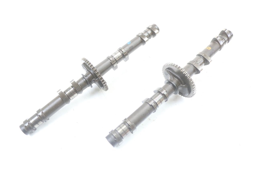 photo de ALBERO CAMME SUZUKI GSX F GSXF 650 (2007 - 2015)