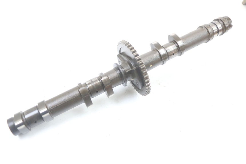 photo de ALBERO CAMME SUZUKI GSX F GSXF 650 (2007 - 2015)