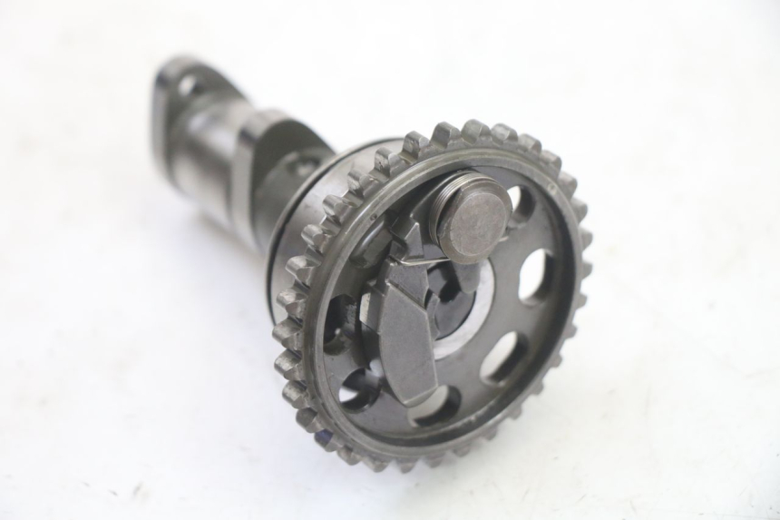 photo de ALBERO CAMME YAMAHA YZ-F YZF 250 (2007 - 2013)
