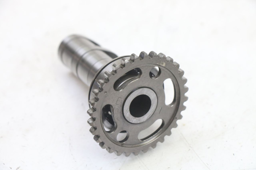 photo de ALBERO CAMME YAMAHA YZ-F YZF 250 (2007 - 2013)