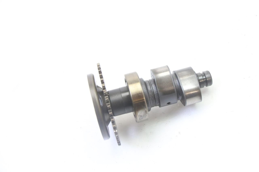 photo de ALBERO CAMME YAMAHA YFM R RAPTOR 250 (2008 - 2014)