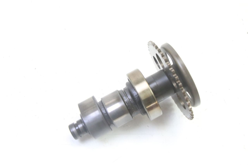 photo de ALBERO CAMME YAMAHA YFM R RAPTOR 250 (2008 - 2014)