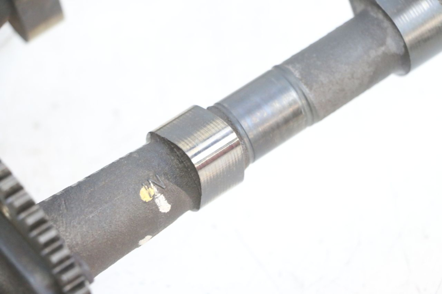 photo de ALBERO CAMME KAWASAKI ZR 7 750 (1999 - 2001) - Marcature e riferimenti originali