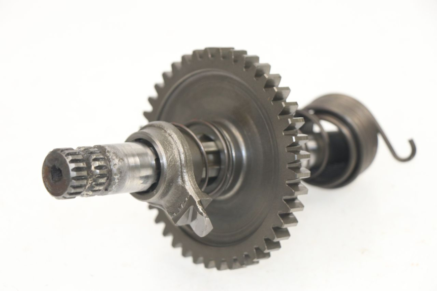 photo de Albero del kick SUZUKI DR DJEBEL 600 (1985 - 1990)