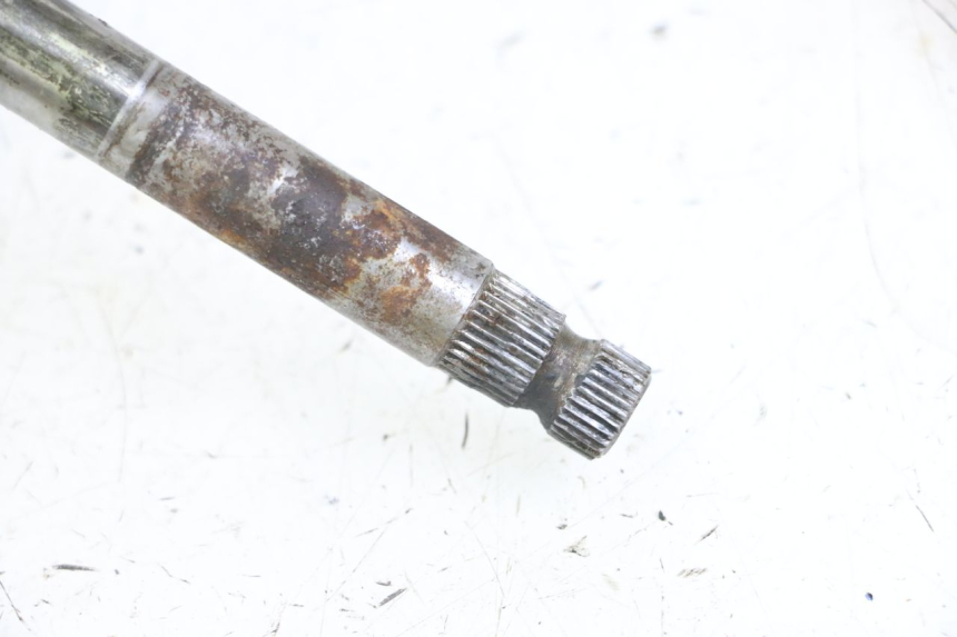 photo de ALBERO INGRANAGGIO HONDA MTX TC02 125 (1987 - 1989)