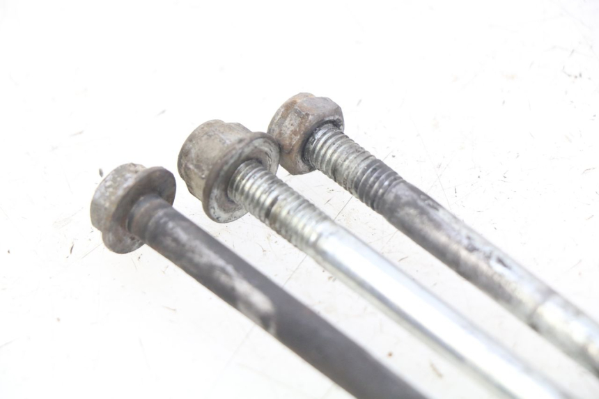 photo de ALBERO MOTORE RIEJU MRT 50 (2009 - 2017)