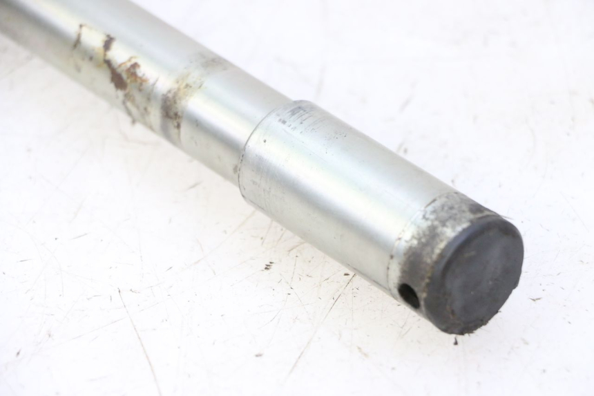 photo de ASSE TRIUMPH SPRINT 900 (1995 - 1998)