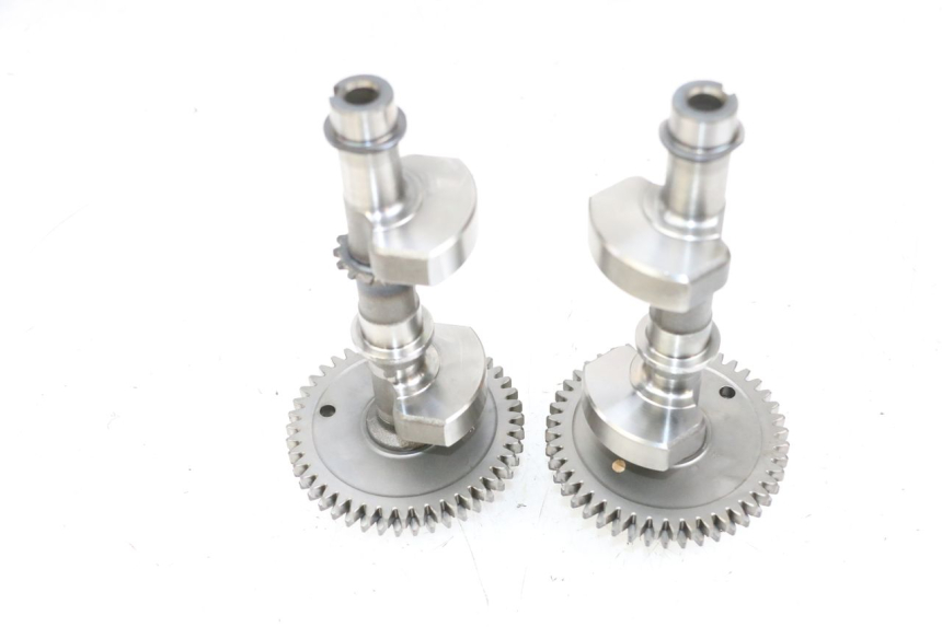 photo de SUPPORTO MOTORE SUZUKI BURGMAN 650 (2013 - 2020)