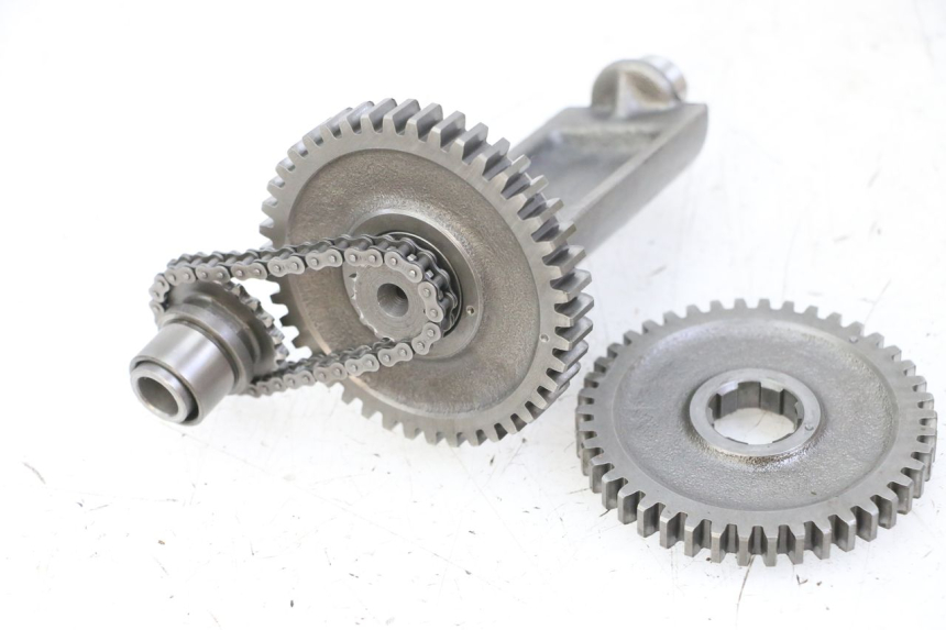 photo de SUPPORTO MOTORE HONDA MTX TC02 125 (1987 - 1989)