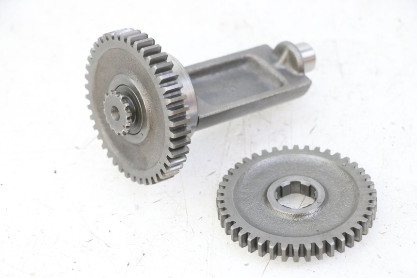 photo de SUPPORTO MOTORE HONDA MTX TC02 125 (1987 - 1989)