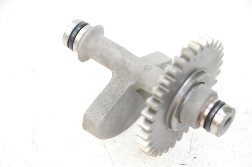 photo de SUPPORTO MOTORE SHERCO CITY CORP 125 (2003 - 2007)