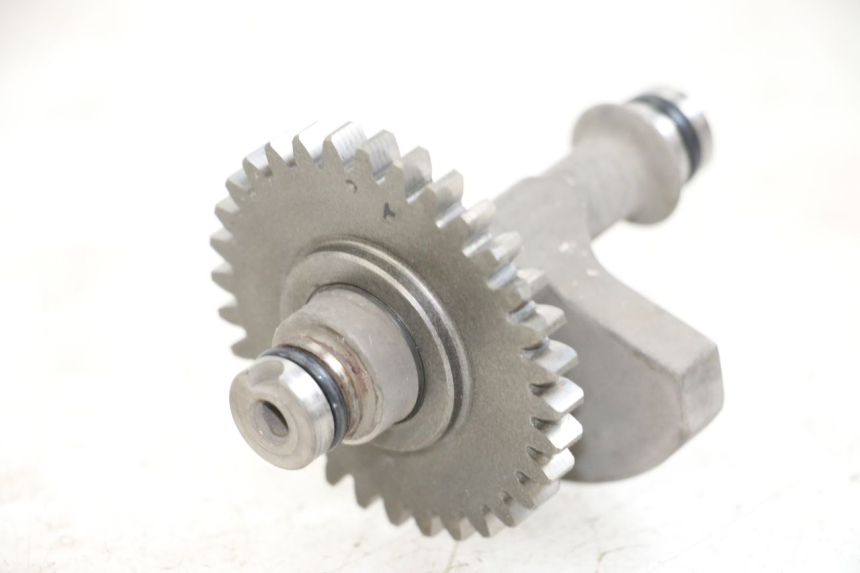 photo de SUPPORTO MOTORE SHERCO CITY CORP 125 (2003 - 2007)